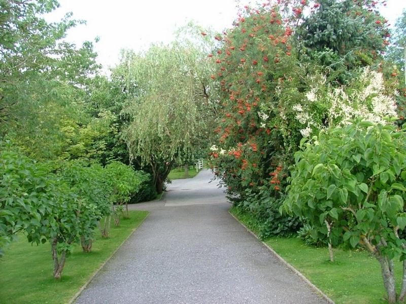 Cleriach Cottage Milton of Auchinhove Bagian luar foto
